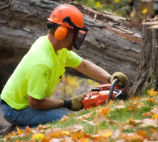 tree services Anna